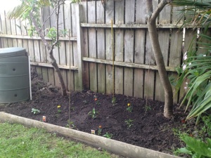 and directly across, the other garden bed.