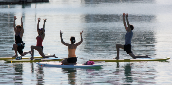 Here we are in St. Mary's Bay, enjoying SUP yoga. The photo is from Flux Westhaven